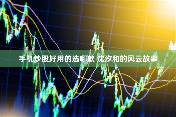 手机炒股好用的选哪款 沈汐和的风云故事